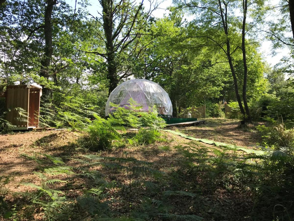Saint-Sever  Bulle Etoilee En Nature Landaise מראה חיצוני תמונה